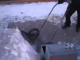 yazhekhozyin l homemade shovel on wheels