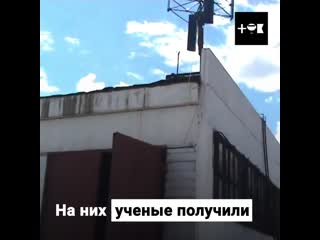 yazhekhozyain l diy wind turbine